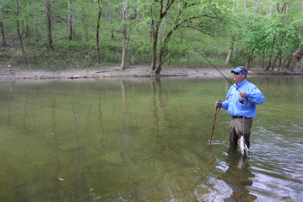 Kentucky Department of Fish and Wildlife 800-858-1549